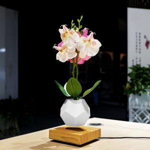 bay từ trường cây nổi chậu không khí bonsai PA-0708