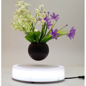 chậu từ không khí bonsai chậu trồng cây PA-0703