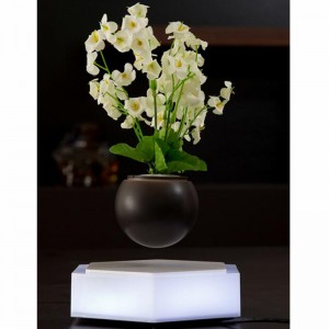360 spining bay lên từ không khí bonsai trồng cây chậu