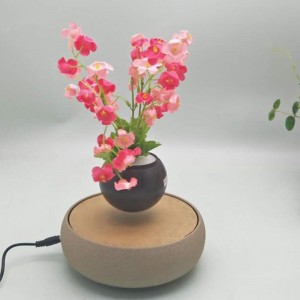 gốm từ trường nổi không khí chậu cây cảnh PA-0706
