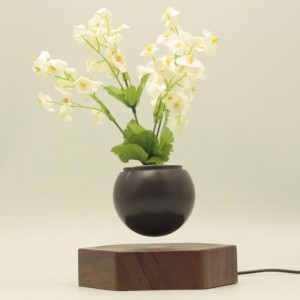 gỗ từ tính bay lơ lửng cây cảnh chậu trồng cây PA-0720