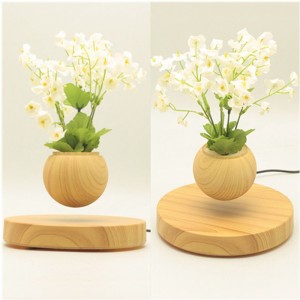 cơ sở bằng gỗ bay từ không khí bonsai chậu trồng cây pa-0721